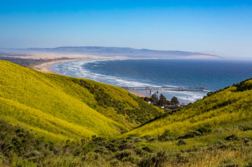 Pismo preserve